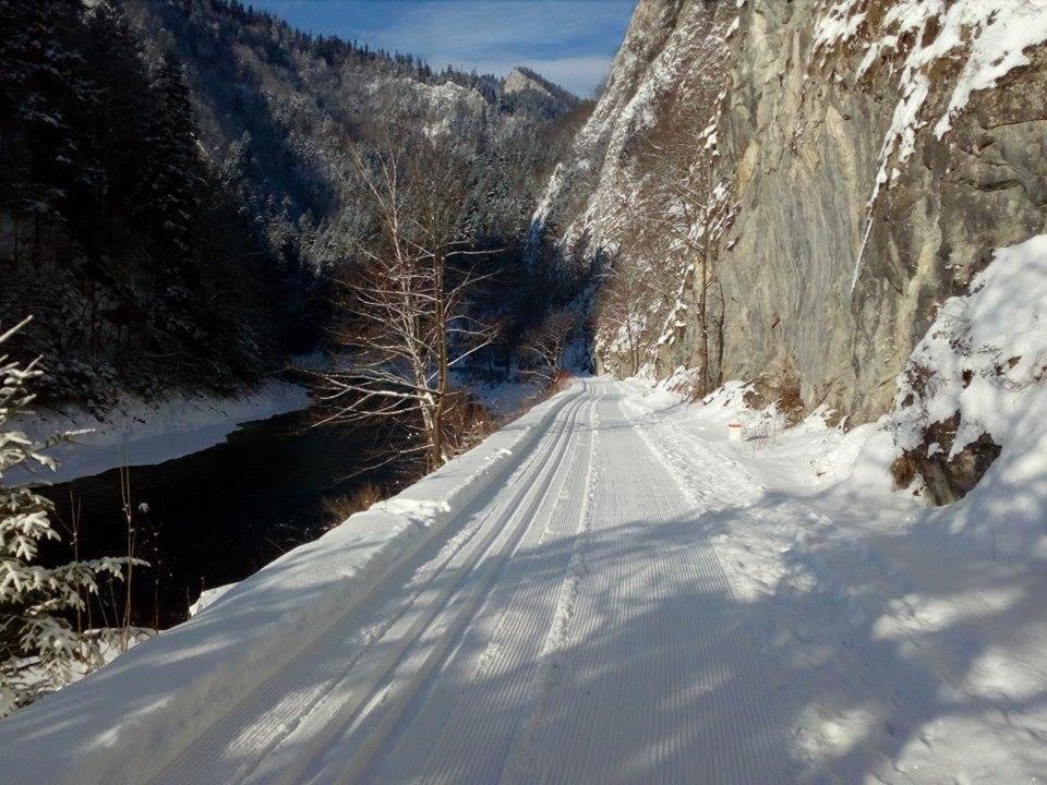 Schronisko Pttk Orlica Hotel Szczawnica Ngoại thất bức ảnh